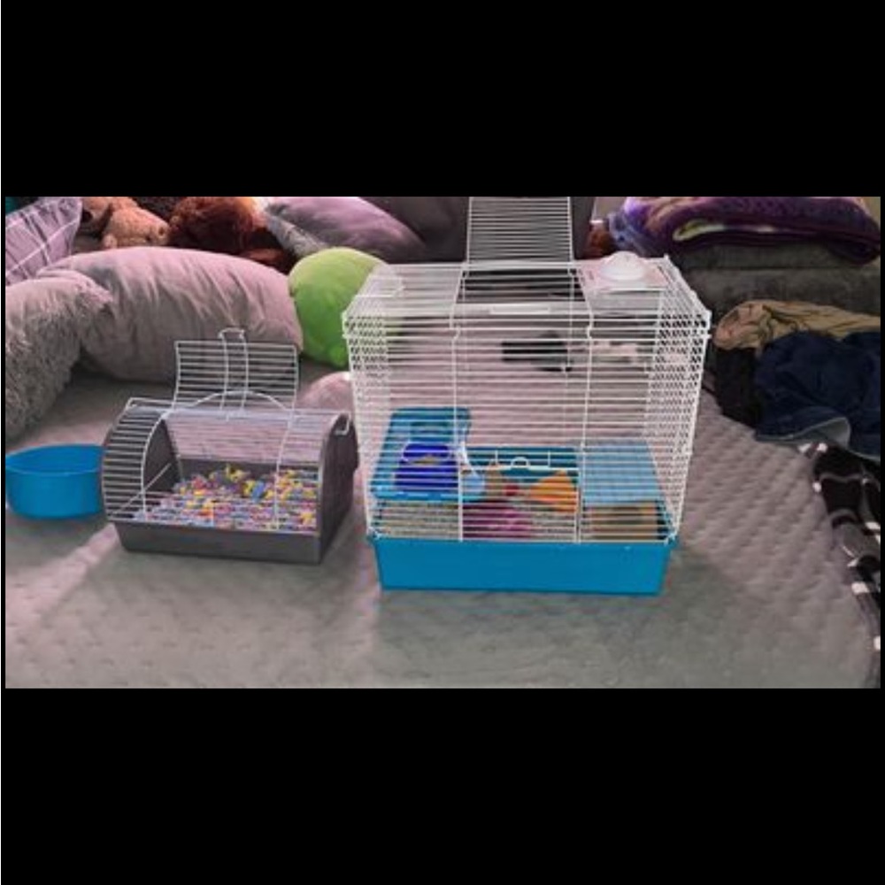 hamster/ very small pet inclosure